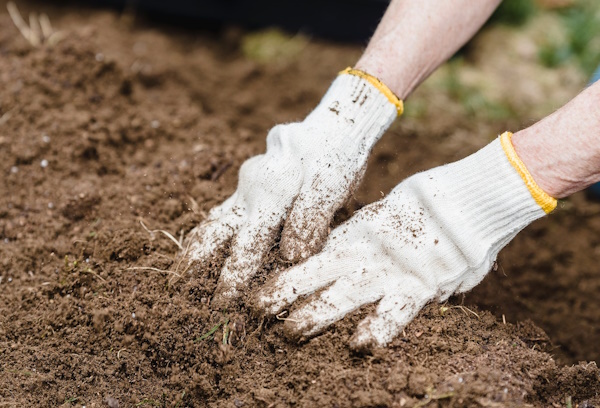 Two hands with white gloves work in the tilled dirt of a garden bed.